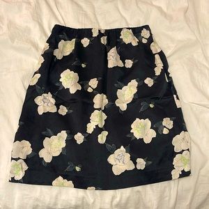 Club Monaco Silk Skirt (00)